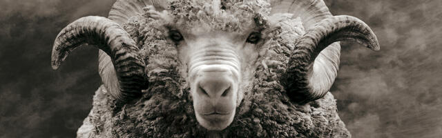 UNIKAALNE JA TÄIUSLIK! Looduse ja inimese koostööst sündinud bränd hoiab sind soojas