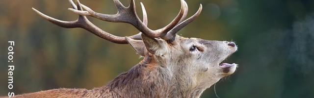 Elering: biometaan – ringmajanduse arengu tugisammas