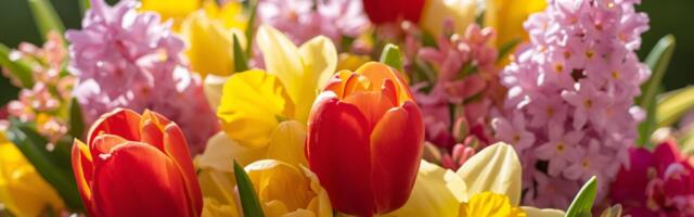 115 aastat naistepäeva. Kas on endiselt oluline?