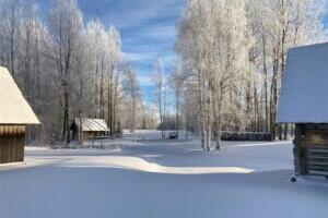 Hirm on halb peremees. Nursipalu näitel