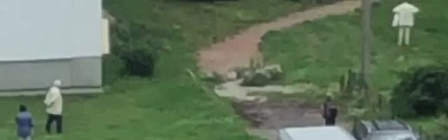 VIDEO JA FOTOD SÜNDMUSKOHALT | Lasnamäel kukkus mees kortermaja aknast alla