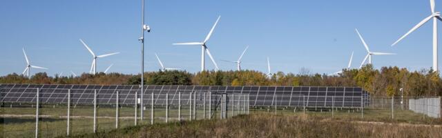 Rene Reisner: tuulikute talumise tasu toob kopsaka 13. palga