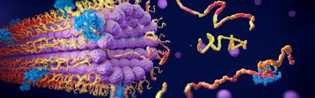 Parandusvalkude täpsem kuvamine aitab välja töötada uusi vähiravivõimalusi