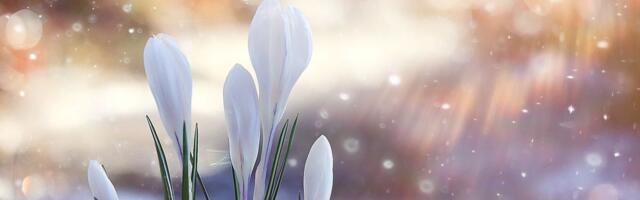 Kuu toob palju lootust, et ületaksime eesseisvad väljakutsed