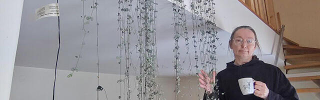 ROHENÄPP | Toataimedel peab laskma kohaneda