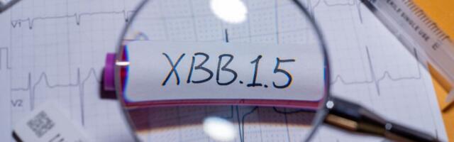 WHO: Uued COVID-19-vaktsiinid peaksid sihtima ainult XBB variante