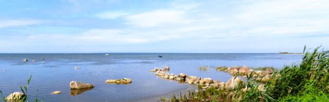 GALERII: suvine vaikelu Püünsi rannas