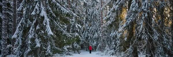 Kuidas planeerida täiuslikku talvepuhkust: praktilised nõuanded ja inspireerivad sihtkohad