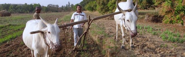 Paraguays allkirjastati Euroopa Liidu ja Mercosuri vabakaubandusleping