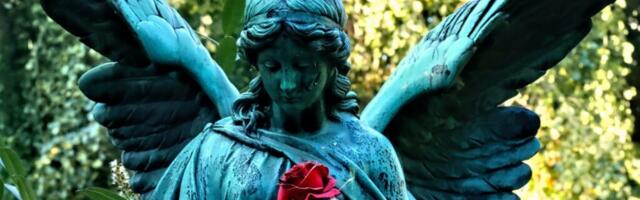 ANGEL MESSAGE – Monday, February 16, 2026