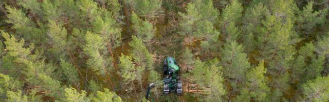 RMK asub otsima partnerit süsinikukrediitidelt tulu teenimiseks