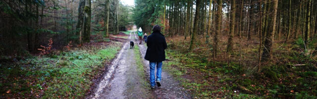 Muhus küsitlus vaba aja tegevuste kohta