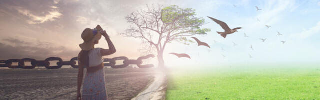 Kas see ongi su elu?