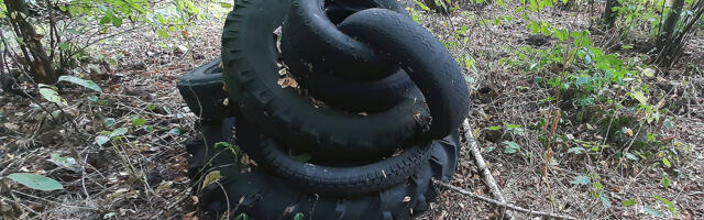 Rohelised Sõnumid „Kokkuhoidlikud” viivad jäätmed metsa alla