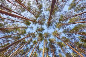 Kestlik eluviis on uskumise küsimus