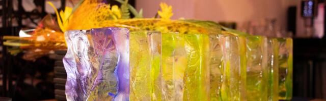 Põlvamaa otsib 2023. aasta parimaid ettevõtjaid ja kodanikuühiskonna esindajaid