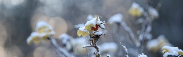 ILMAPROGNOOS | Tulekul on külmem õhumass ja esimesed lumekruubid