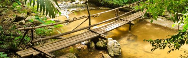 Kuus päeva kadunud olnud pensionär leiti džunglist palvetamast