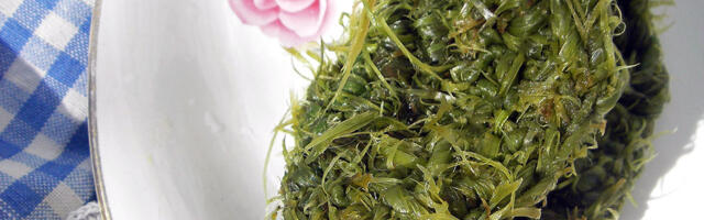 Rohelised Sõnumid: Nõgestest heegeldatud nõudepesusvammi õpetus