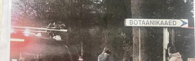 Lugu kohtunikust, kes sõitis peole ja põhjustas teel õnnetuse. Algas protsess tema enda üle