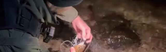 VIDEO | Järvamaal võeti vahele öösel röövpüügiga tegelenud kalamees