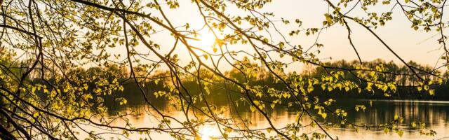 Valitsus vähendab keskkonnavaldkonnas bürokraatiat