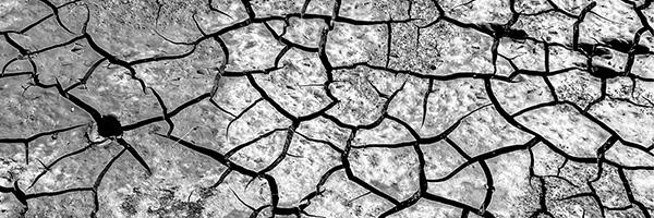 Pille Kaleviste näitus „Loo me lugu“ Hop galeriis