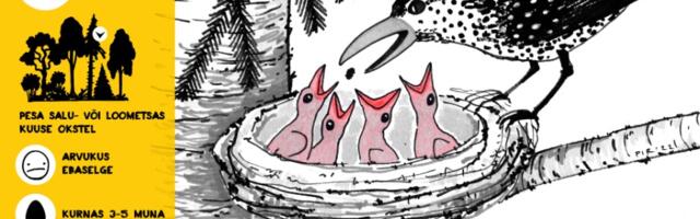 Pesitsusrahu kampaania – mänsak