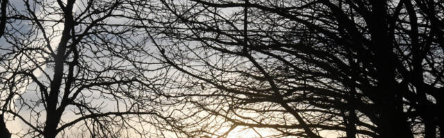 JÕULUKUUL OLI KÕIGE PÄIKSELISEM JÕHVI JA KÕIGE SOMBUSEM PÄRNU