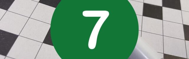 Pürenee ehk ... poolsaar? Maalehe ristsõna nr 7