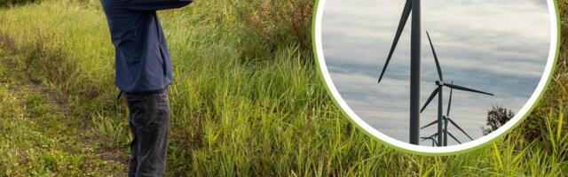 „Põhimõtteliselt surmahoop!“ Hiigelkõrget tuuleparki planeeritakse täpselt Matsalu rahvuspargi külje alla