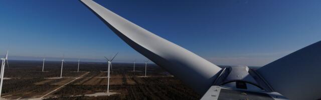 KODANIKUPÄEV | Maarja-Liisa Kapaun: ärge unustage karjumismaitselises tuulikuvõitluses muid väärtusi