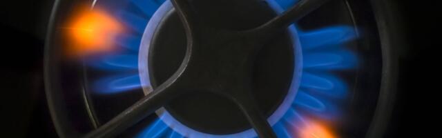 Euroopa gaasihinnad näitasid aasta suurimat nädalast kaotust