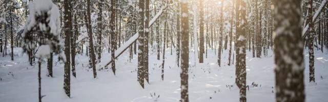 NÄDALA ILMAPROGNOOS | Öötundidel valitsevad külmakraadid ning oodata on tõelist talveilma