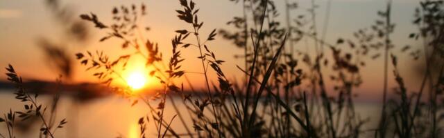 Keskkonnaagentuur: lähipäevade ilm on soe ja päikeseline, samas ööd on jahedad