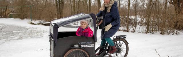 Odavama otsa kastiratas hakkas maal lagunema vaid mõne kuuga