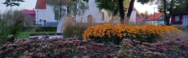 Paide linnavalitsus otsib ilu ja puhtusega seotud teenusepakkujaid