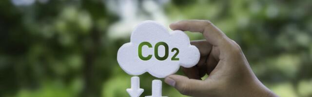 BeZero Carbon Reveals Why the UK Can be a Global Carbon Market Leader by 2035