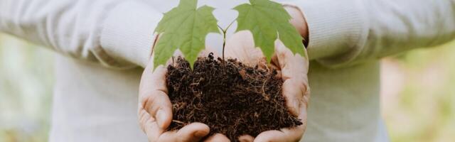 Past the tipping point: Why the climate transition is now in our hands