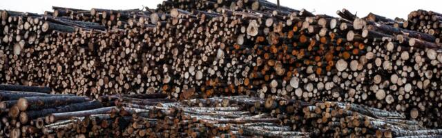 Bürokraatialaviini kartnud ettevõtjate kohustus mängiti ümber. “Panime sinna tohutu raha alla ja nüüd teeme ikka teistmoodi”