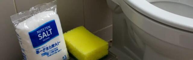 Ära kuluta raha – selle loodusliku nipiga lõhnab sinu vannituba pidevalt värskelt