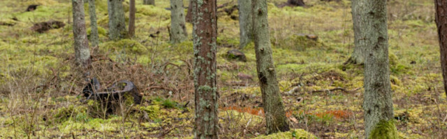 Keskkonnaministri nõunikuks sai metsandusteadlane Marek Metslaid
