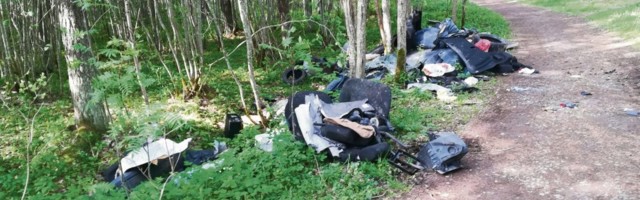 Harkus tabati lagastaja