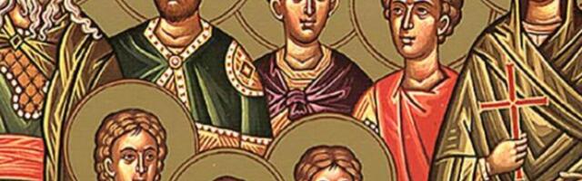 DANAS OVU BILJKU OBAVEZNO MORATE DA UNESETE U KUĆU! Običaj se POŠTUJE VEKOVIMA, STAR je, NE KRŠI SE, inače...