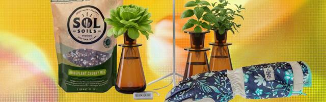 19 Best Gifts for Plant Lovers and Gardeners (2026)