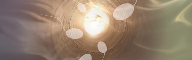 Uuring tõestab Pfizeri süsti negatiivset mõju meeste viljakusele