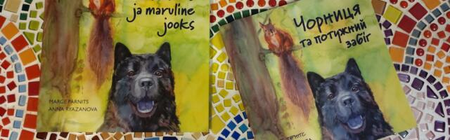 Raamatu “Mustikas ja maruline jooks” esitlus Tartu Mänguasjamuuseumis 20. novembril