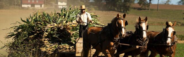 KOLUMN ⟩ Roland Tõnisson: kuidas Trumpist sai amišite valik