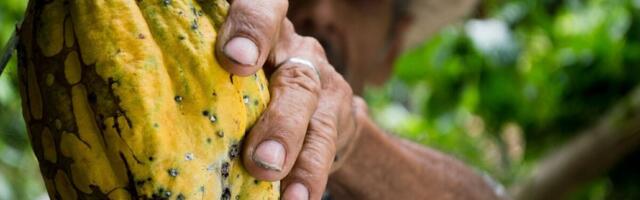 TOP 15 | Enim Venemaale eksportivad tööstusettevõtted