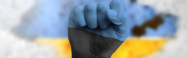 Ka mina poleks hääletanud vaenusümboleid keelava seaduseelnõu poolt. Miks?